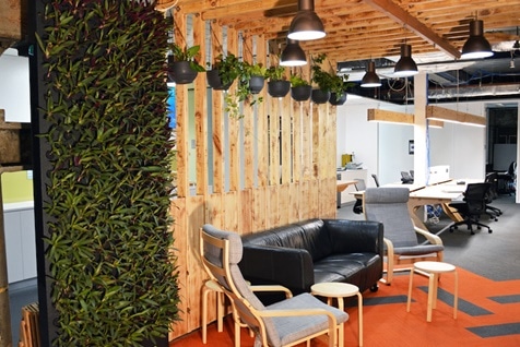 Going Green: Incorporating Indoor Plants In The Workplace