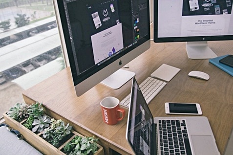 Green plants beside the wooden working desk